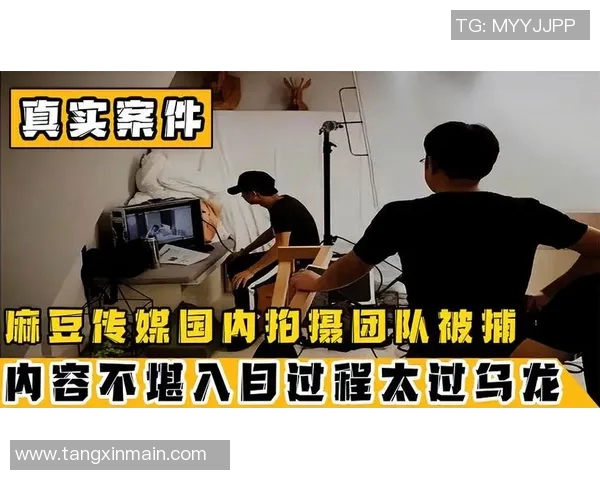 麻豆不app-探索麻豆不APP的世界-麻豆app平台